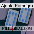 Ajanta Kamagra 20